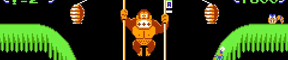 donkey-kong-3