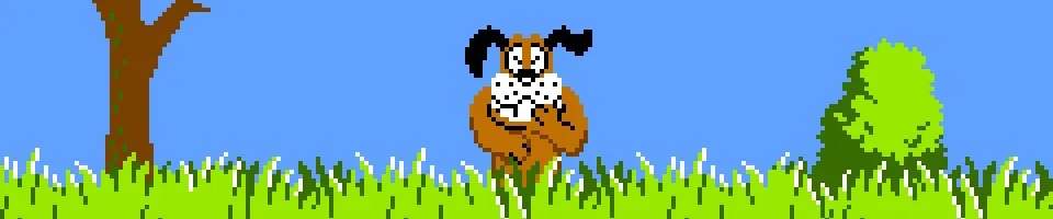 duck-hunt